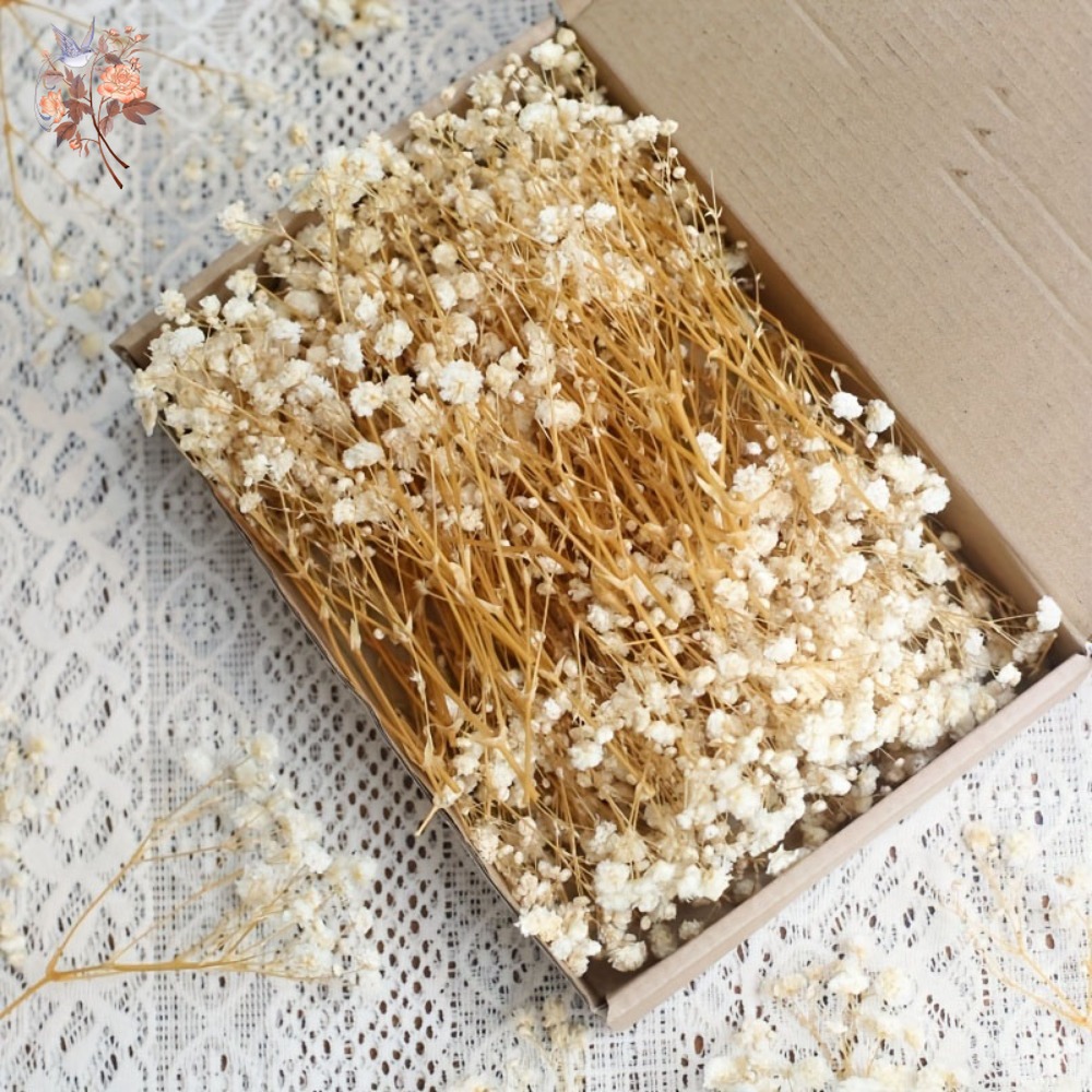 Embellish Craft - 100個入りミニドライカスミソウ、レジン工芸DIY、家の装飾、結婚式の飾り、リアルタッチのジプソフィラ、小さな束、ギフト用装飾品