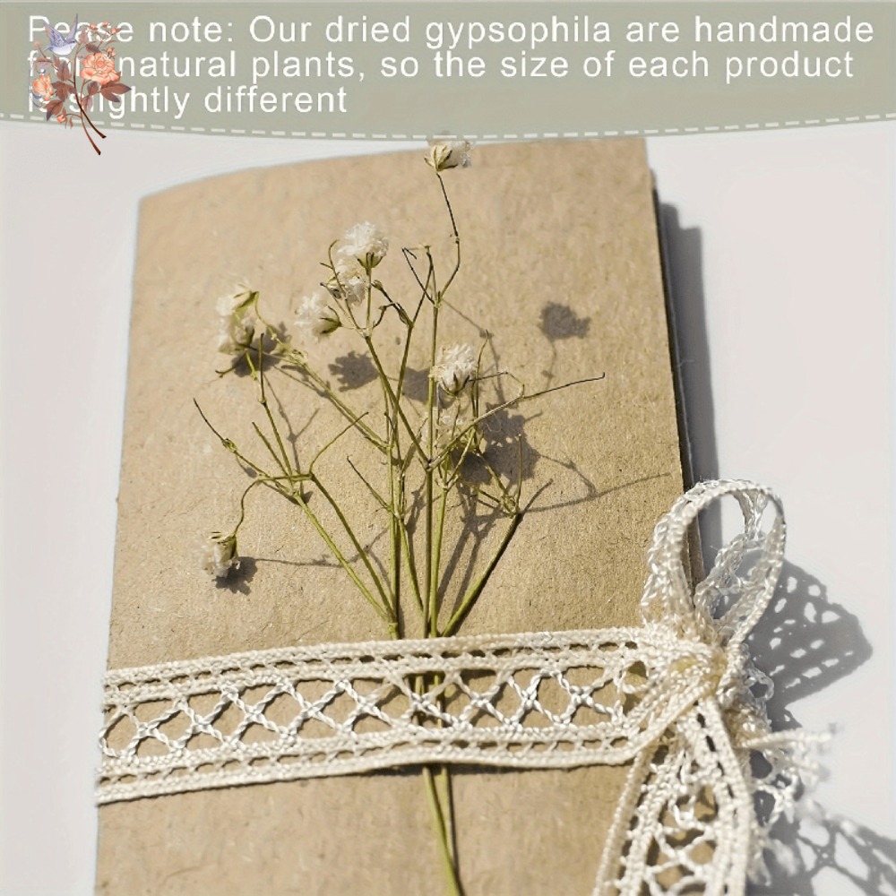 100個入りミニドライカスミソウ、レジン工芸DIY、家の装飾 - Embellish Craft のレビューと価格